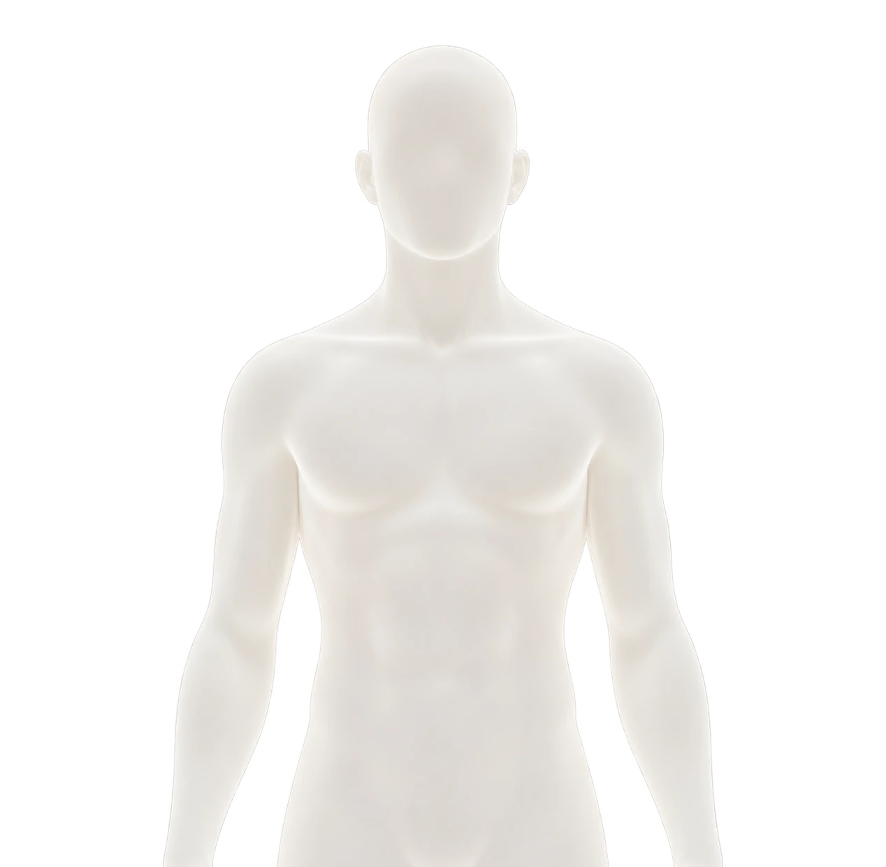 Neutral human figure used to show where each compound plays a role